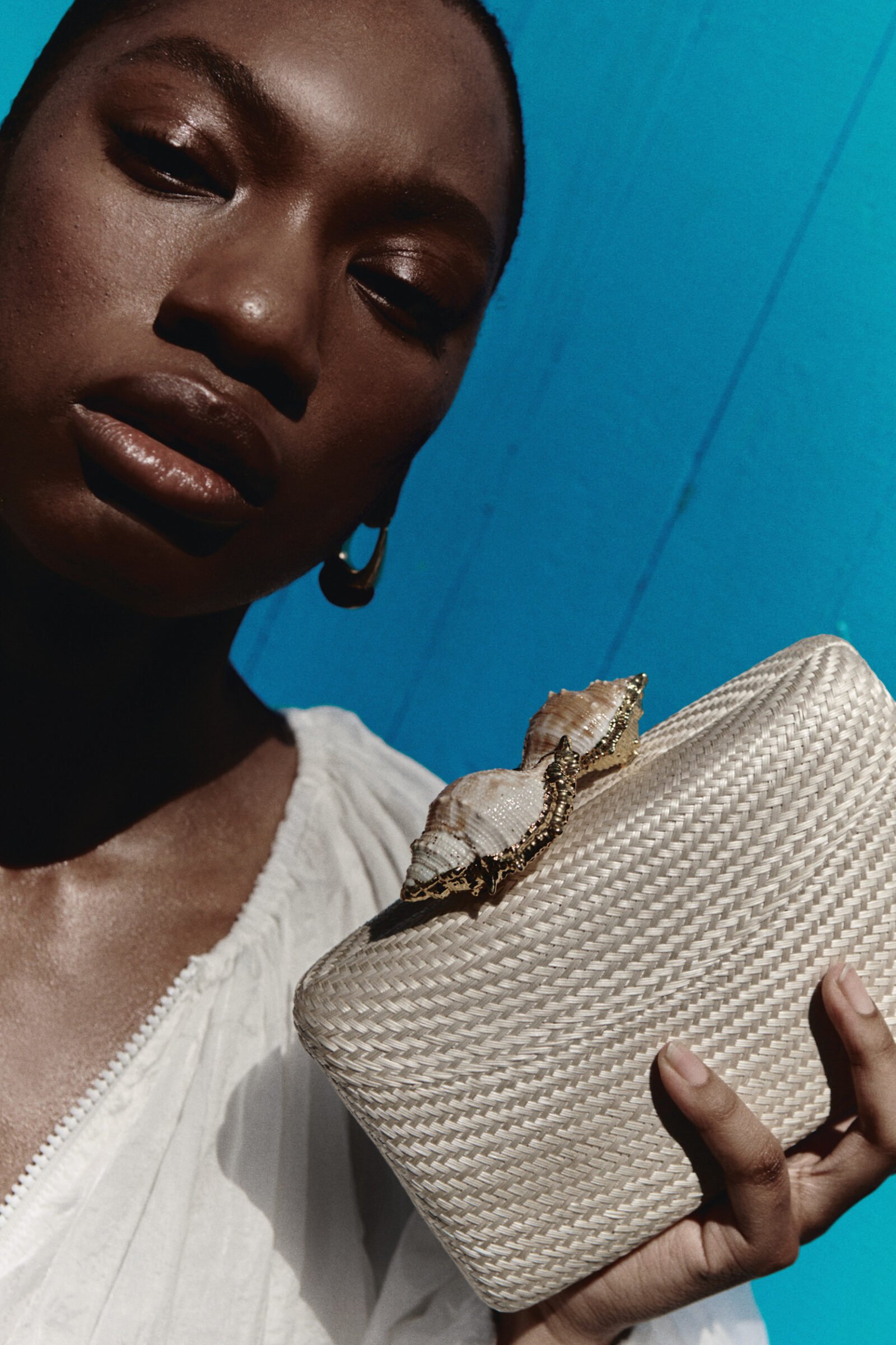 KAPRE HAZELNUT W CONCH SHELL ( SINGLE ) - Image 6