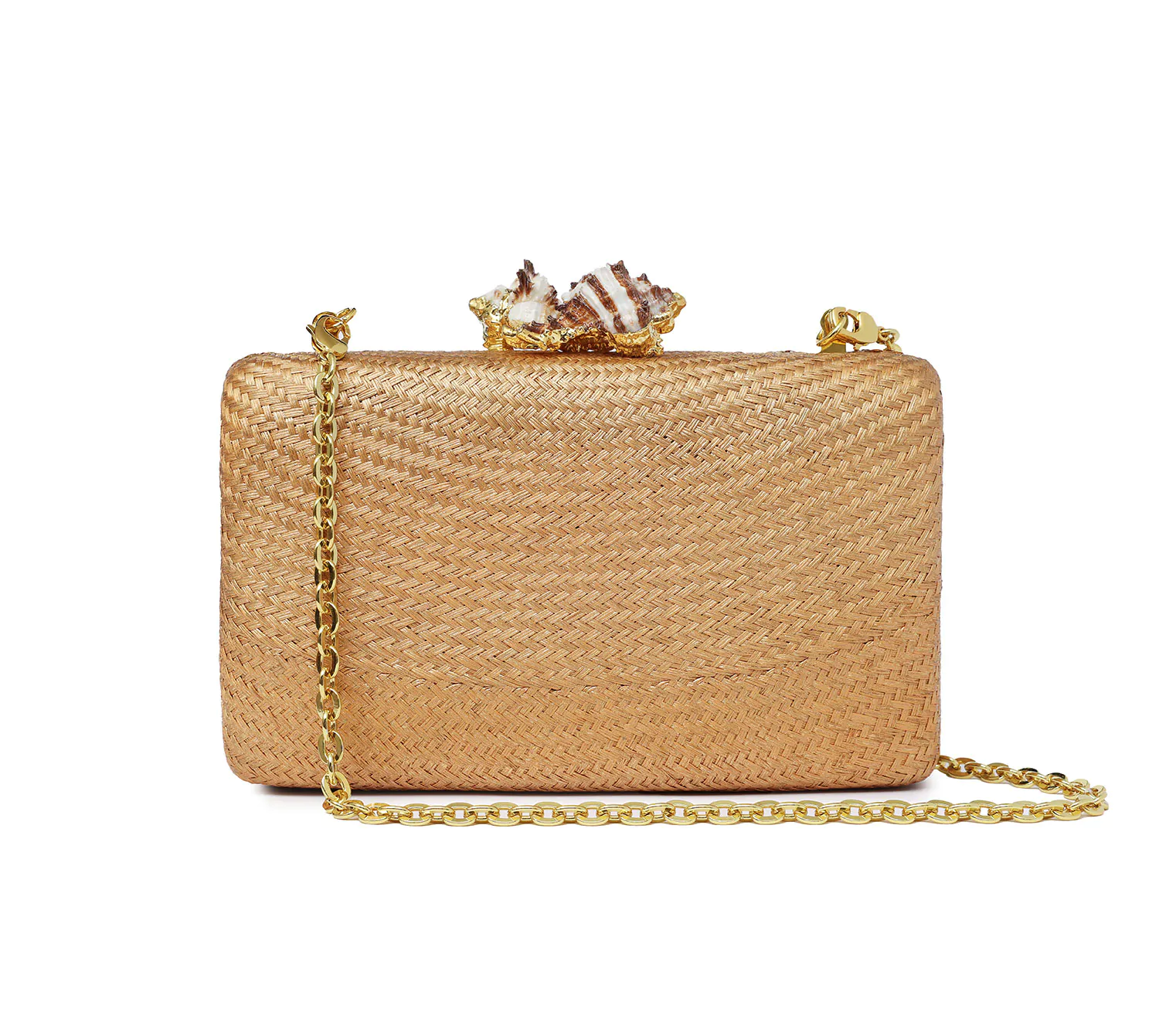 KAPRE BRONZE W MUREX SHELL - Image 4
