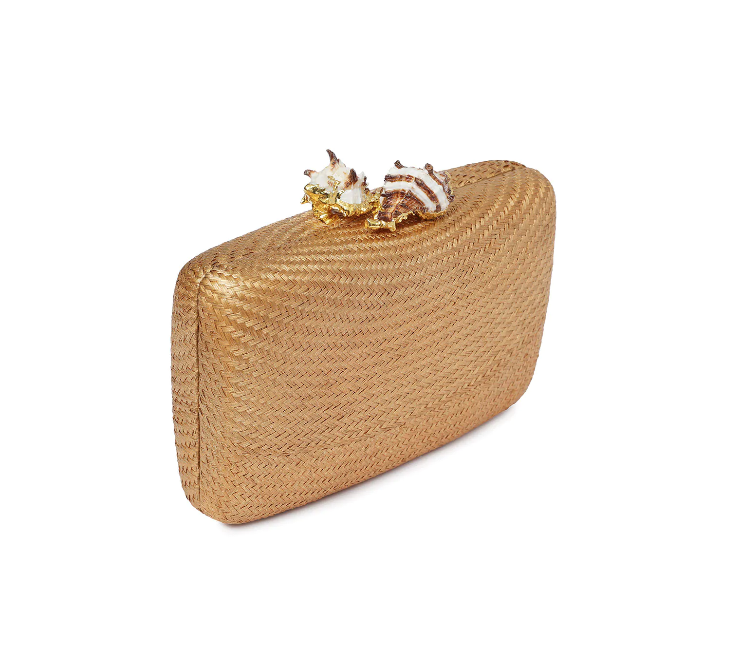 KAPRE BRONZE W MUREX SHELL - Image 3