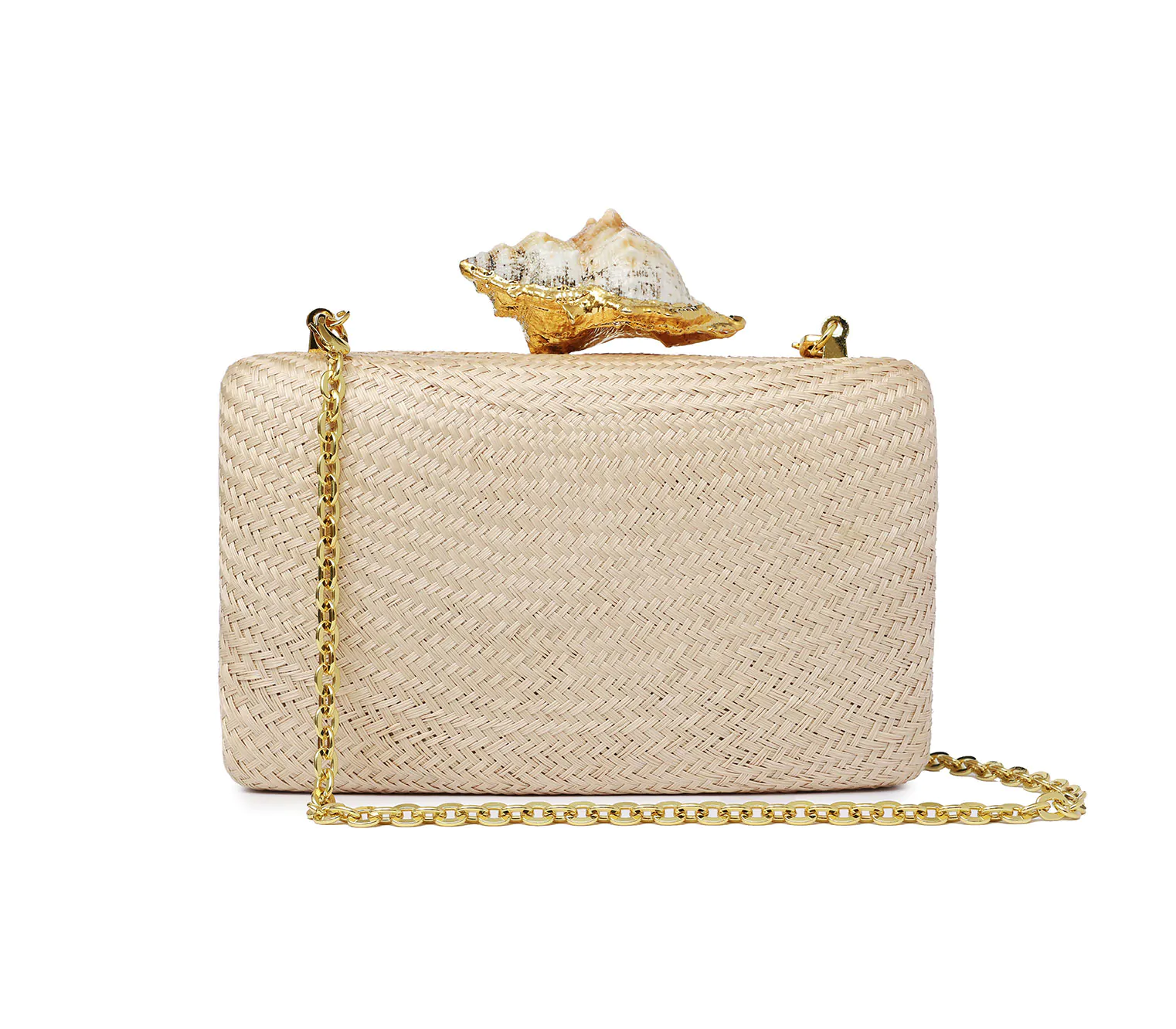 KAPRE HAZELNUT W CONCH SHELL ( SINGLE ) - Image 3