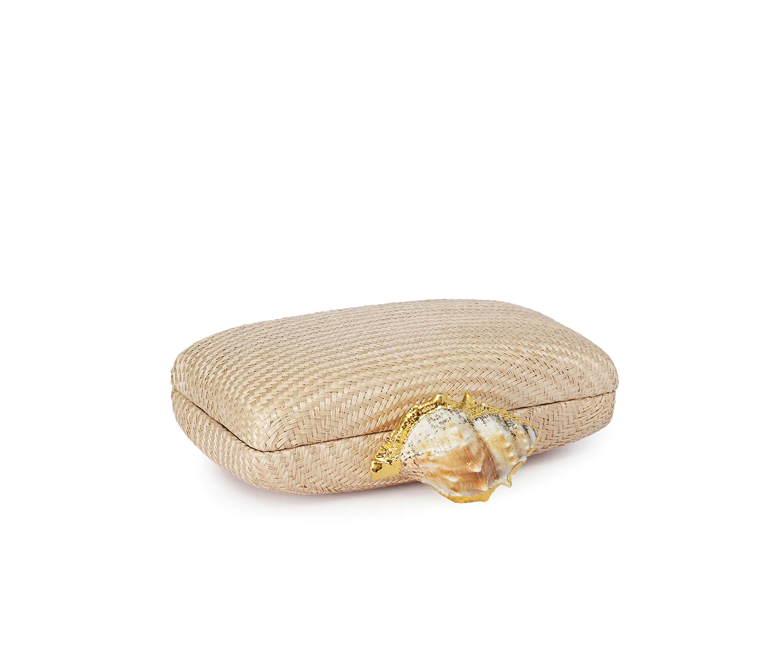 KAPRE HAZELNUT W CONCH SHELL ( SINGLE ) - Image 4