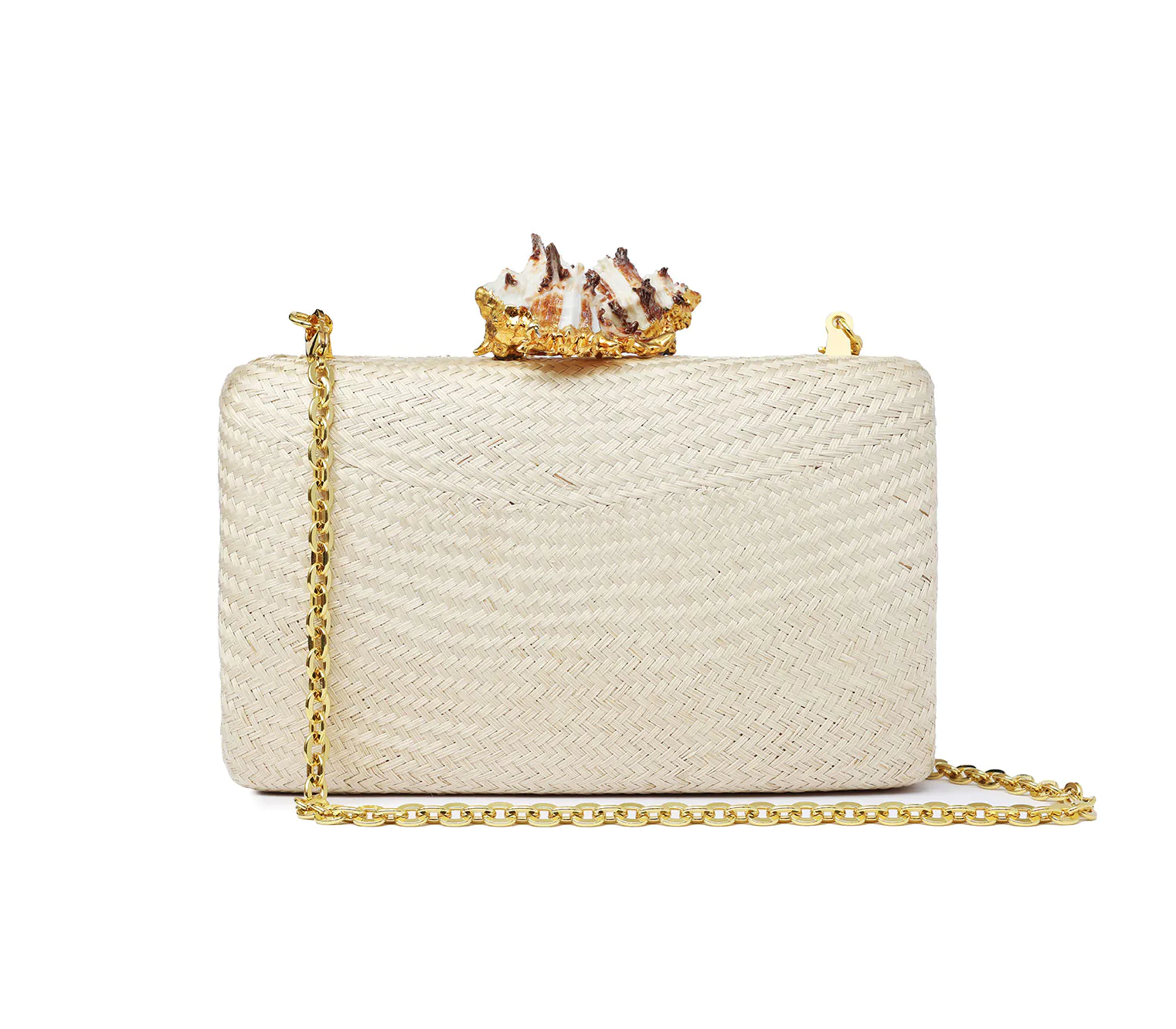 KAPRE NATURAL W MUREX SHELL - Image 3