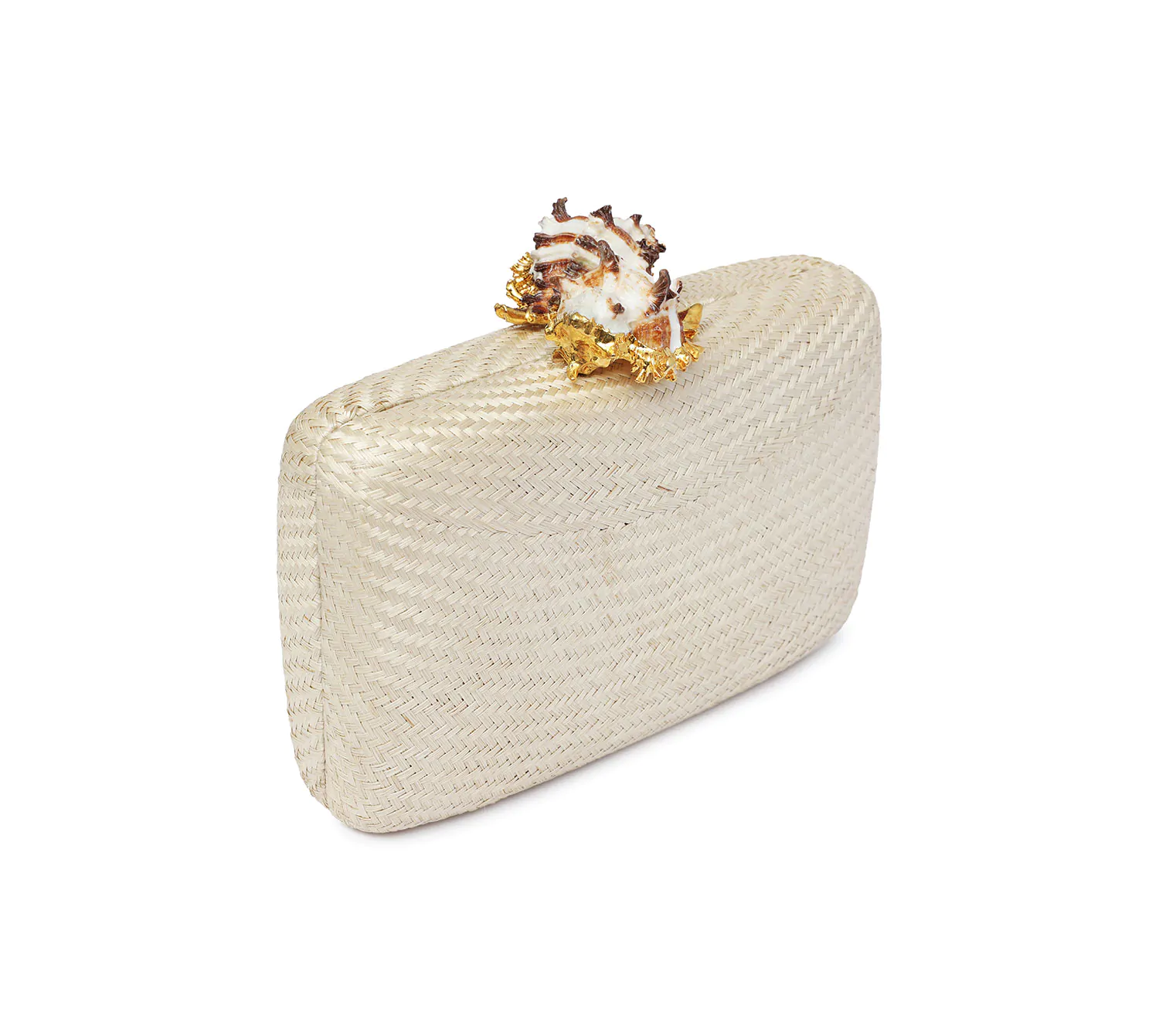 KAPRE NATURAL W MUREX SHELL - Image 4