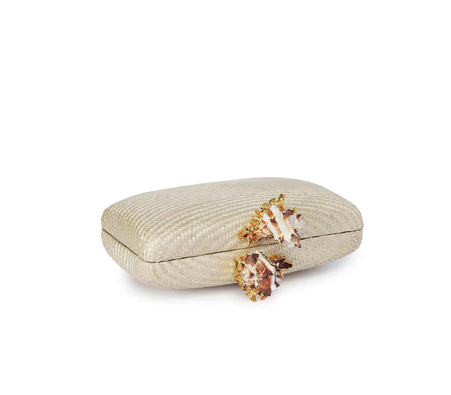 KAPRE NATURAL W MUREX SHELL - Image 5