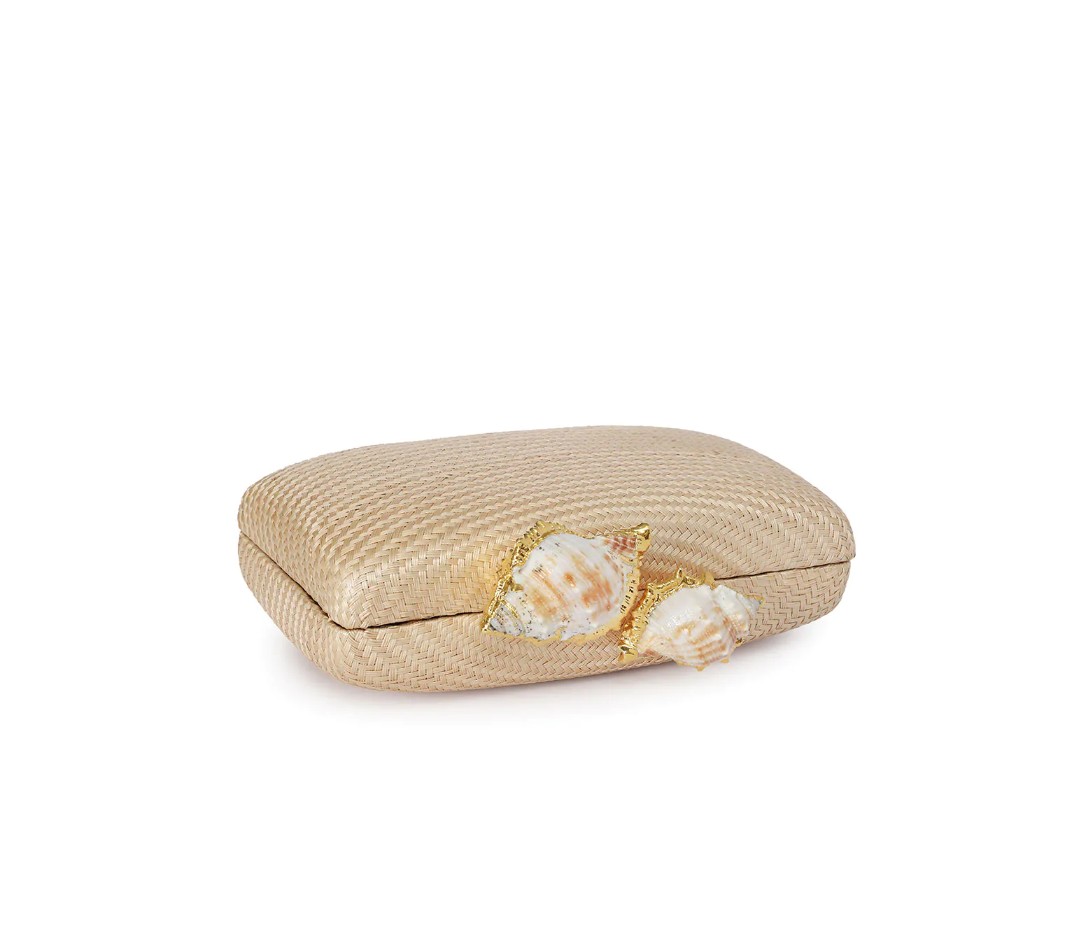 KAPRE HAZELNUT W CONCH SHELL - Image 4