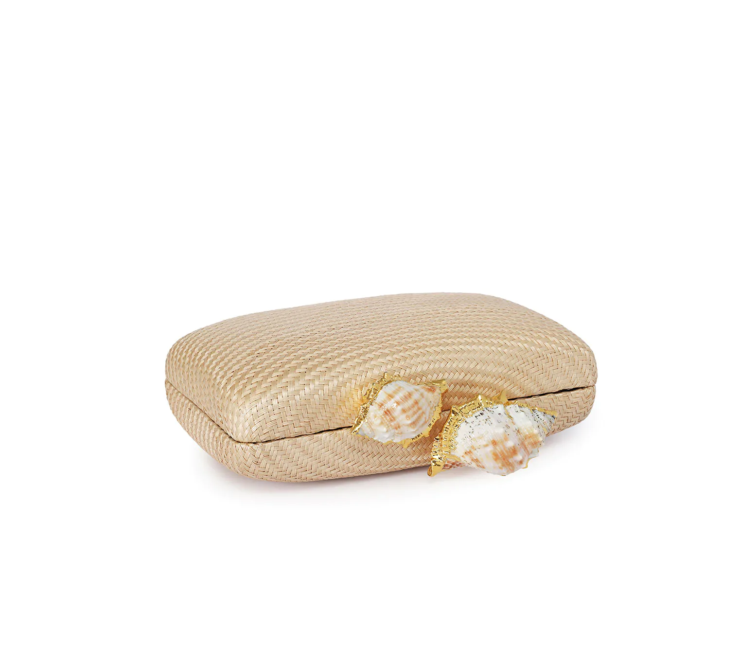 KAPRE HAZELNUT W CONCH SHELL - Image 5